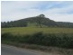 . Tasman Highway, Pyengana TAS 7216