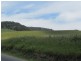 . Tasman Highway, Pyengana TAS 7216