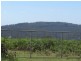 . Tasman Highway, Pyengana TAS 7216