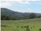 . Tasman Highway, Pyengana TAS 7216