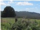 . Tasman Highway, Pyengana TAS 7216