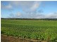 79 Partridge Road, Togari TAS 7330