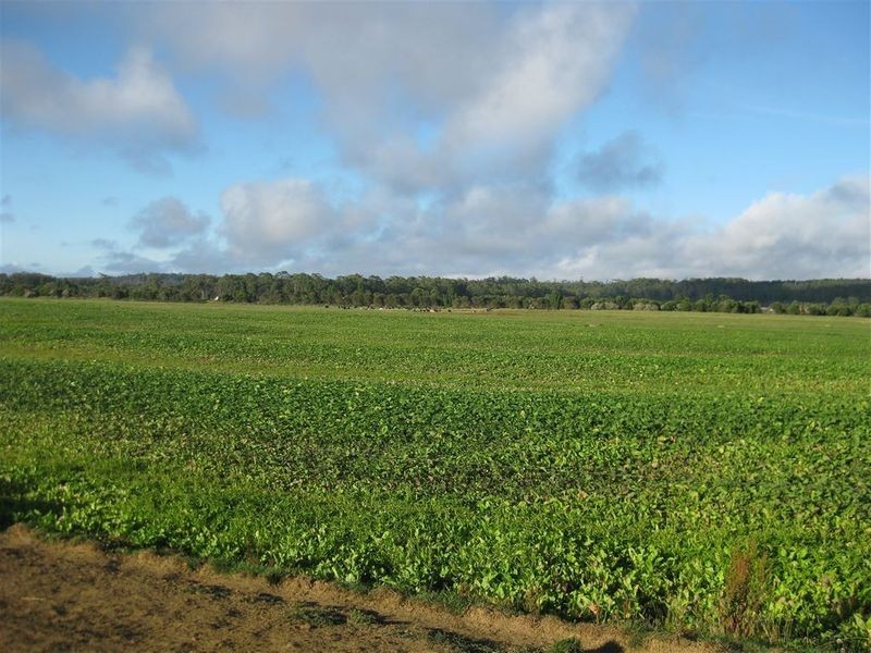 79 Partridge Road, Togari TAS 7330
