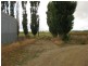 79 Partridge Road, Togari TAS 7330
