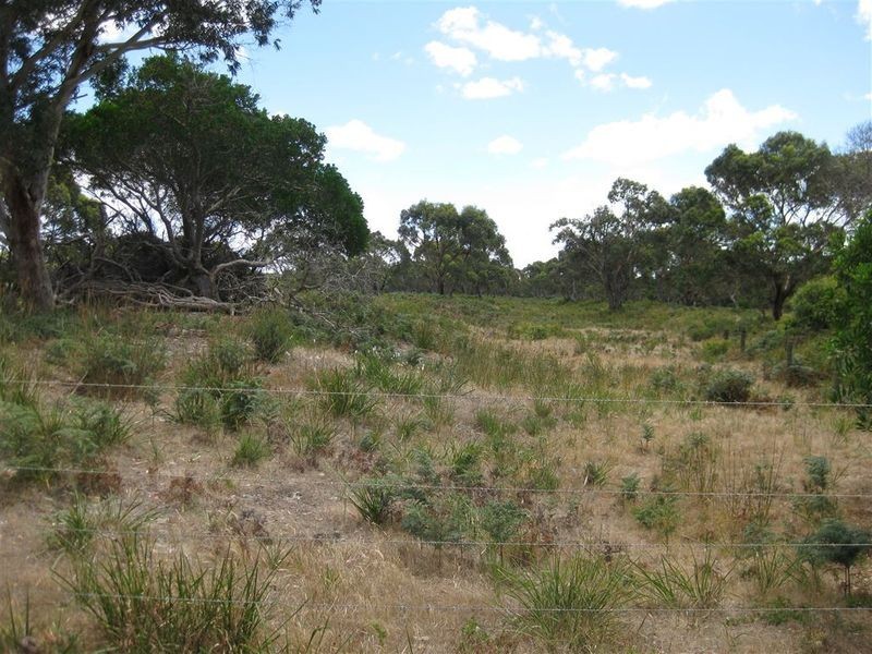 Lot 1 Anthony Beach Road, Stanley TAS 7331