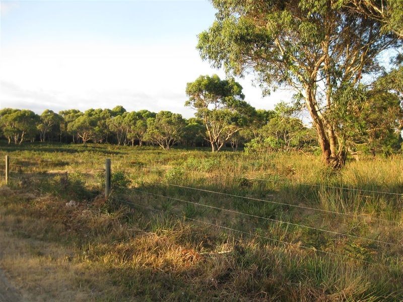 Lot 1 Anthony Beach Road, Stanley TAS 7331