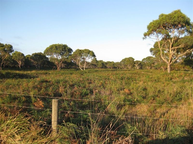 Lot 1 Anthony Beach Road, Stanley TAS 7331