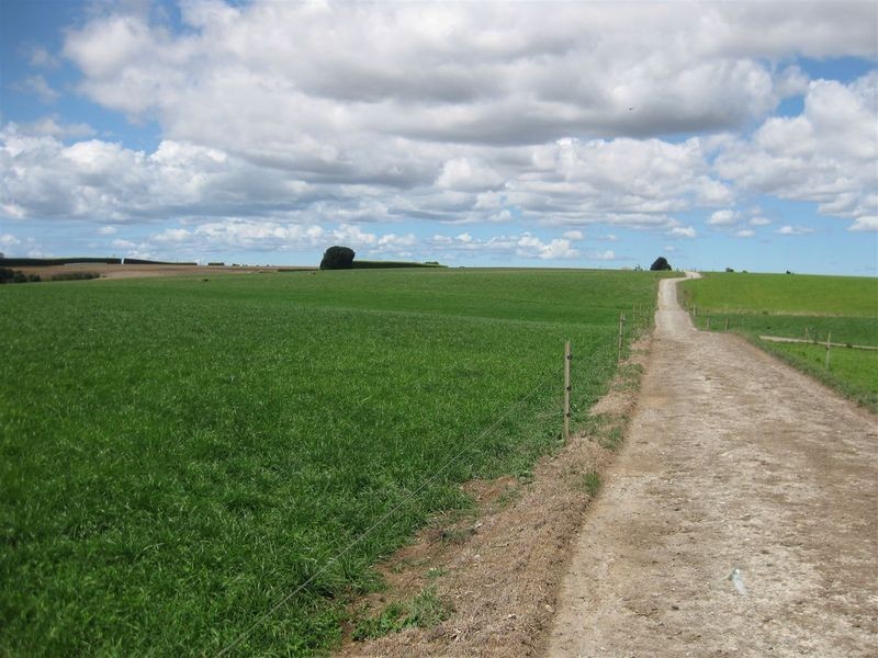 80 Jocks Road, Forest TAS 7330