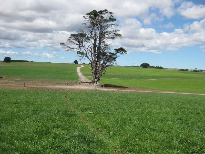 80 Jocks Road, Forest TAS 7330