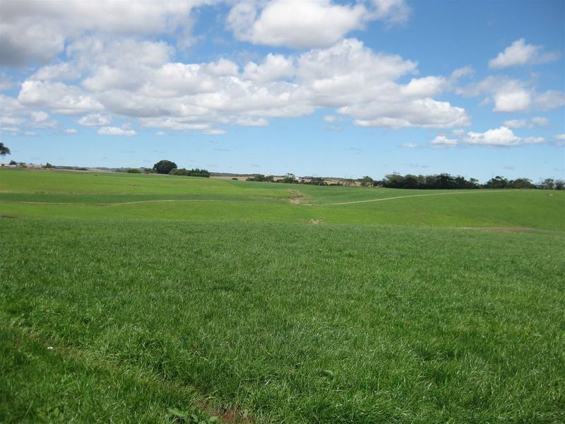 80 Jocks Road, Forest TAS 7330