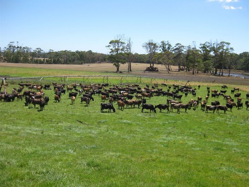 80 Jocks Road, Forest TAS 7330