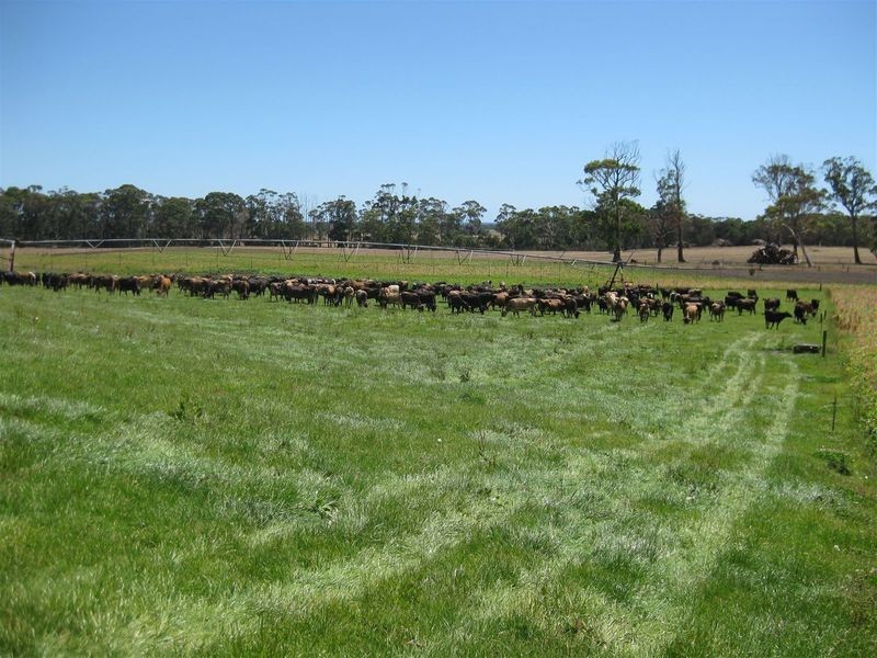 80 Jocks Road, Forest TAS 7330