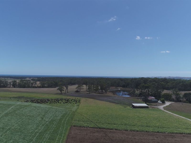 80 Jocks Road, Forest TAS 7330