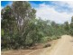 276 Lilydale Road, Rocherlea TAS 7248