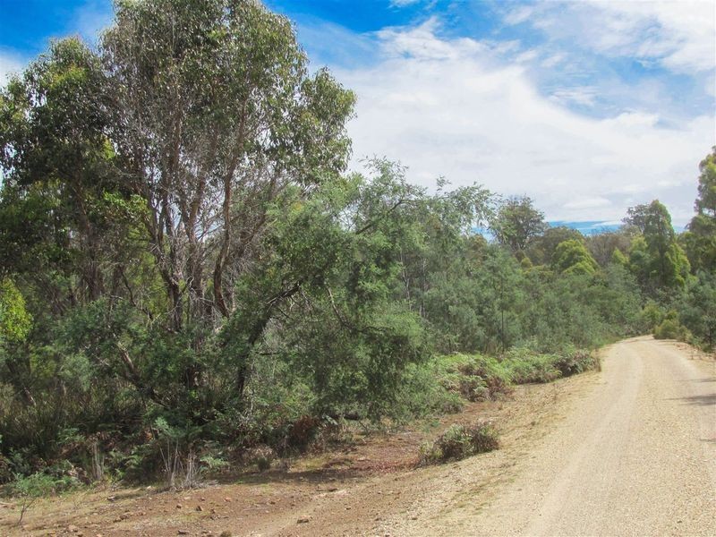 276 Lilydale Road, Rocherlea TAS 7248