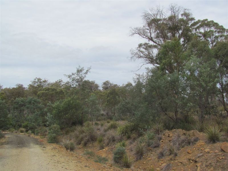 276 Lilydale Road, Rocherlea TAS 7248