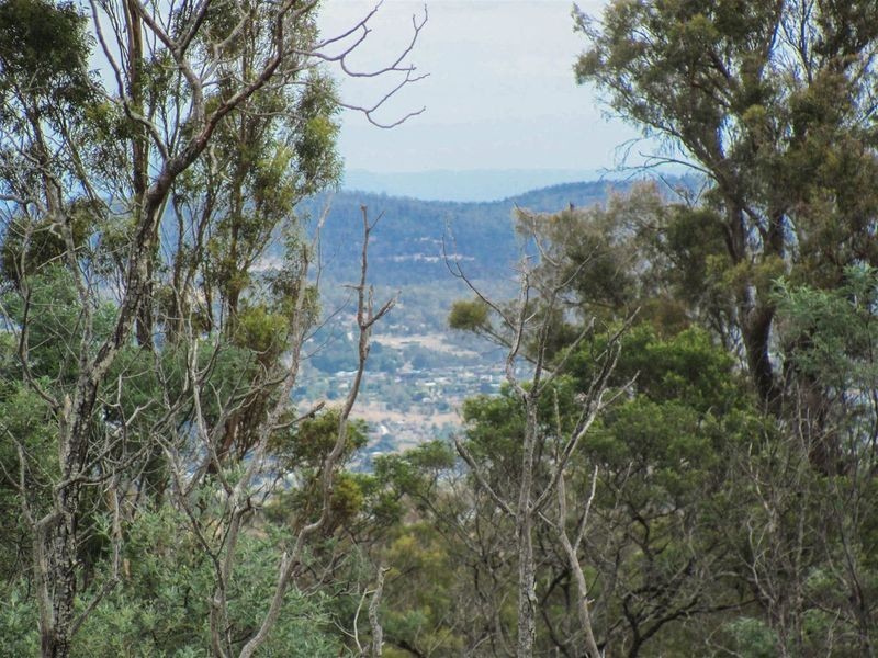 276 Lilydale Road, Rocherlea TAS 7248