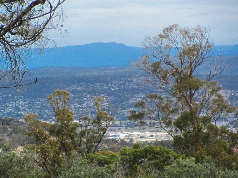 276 Lilydale Road, Rocherlea TAS 7248