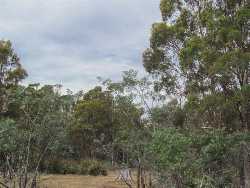 276 Lilydale Road, Rocherlea TAS 7248
