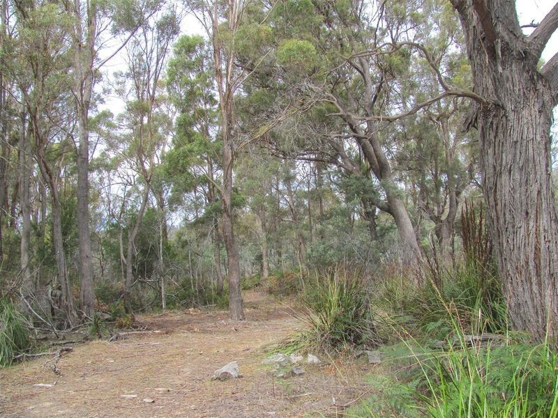 276 Lilydale Road, Rocherlea TAS 7248
