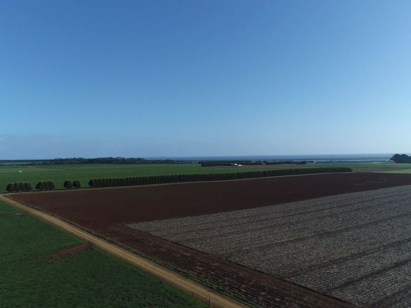 209 Mengha Road, Forest TAS 7330