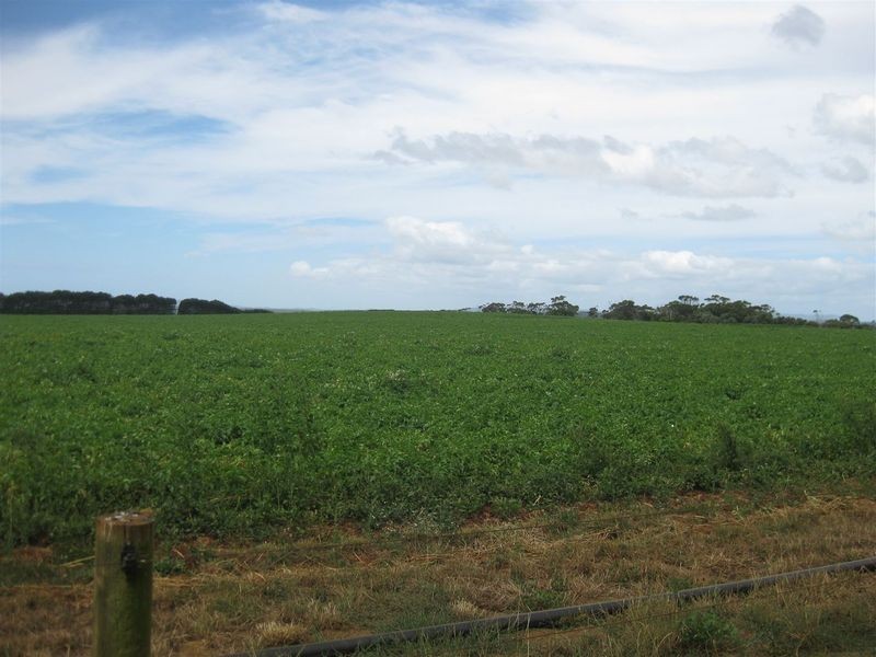 209 Mengha Road, Forest TAS 7330