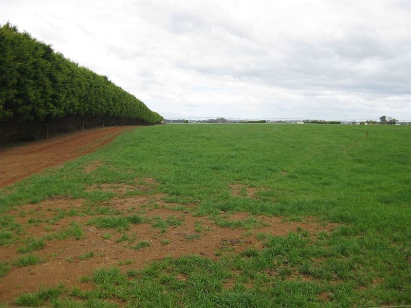 209 Mengha Road, Forest TAS 7330