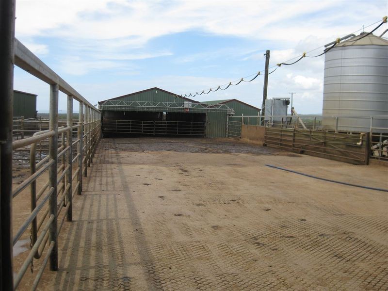 209 Mengha Road, Forest TAS 7330