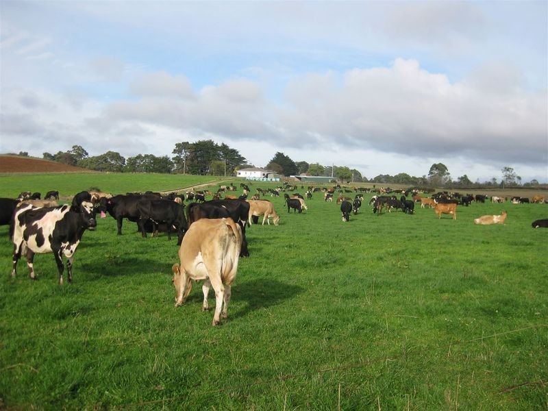 17 Wrights Road, Mawbanna TAS 7321