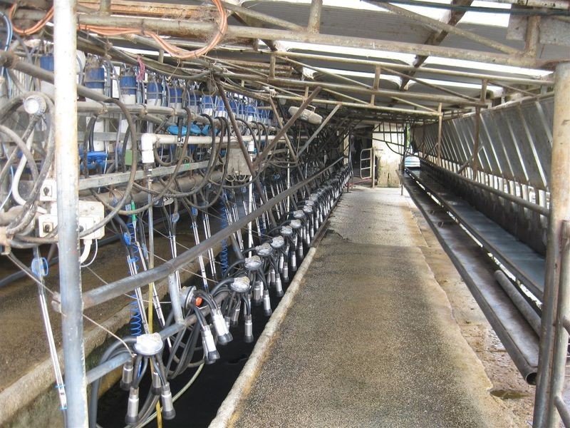 17 Wrights Road, Mawbanna TAS 7321