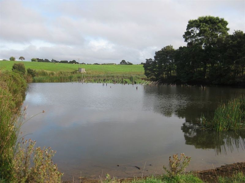 17 Wrights Road, Mawbanna TAS 7321