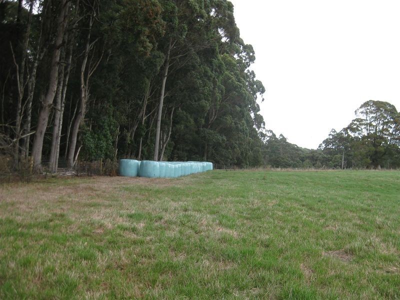 17 Wrights Road, Mawbanna TAS 7321