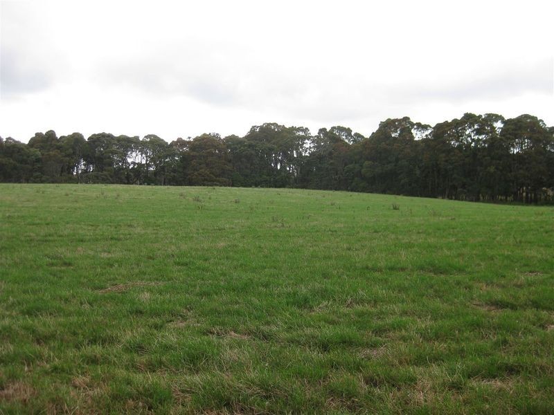 17 Wrights Road, Mawbanna TAS 7321