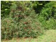 60 O’Neills Road, Trowutta TAS 7330