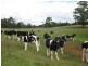 60 O’Neills Road, Trowutta TAS 7330