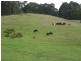 60 O’Neills Road, Trowutta TAS 7330
