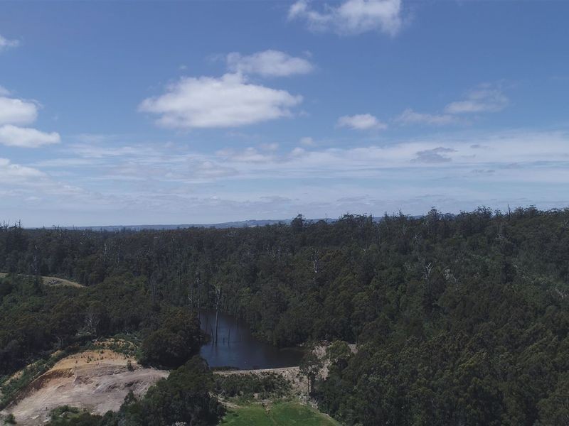 24662 Bass Highway, Brittons Swamp TAS 7330