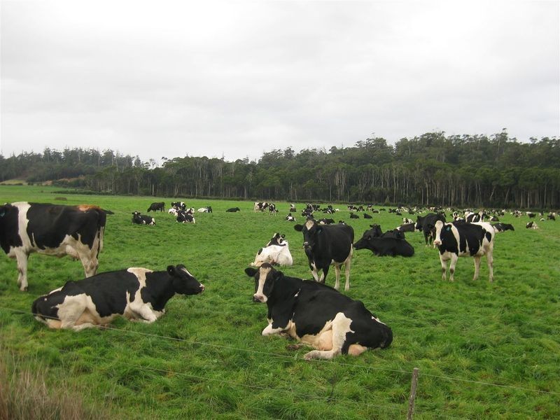 24662 Bass Highway, Brittons Swamp TAS 7330