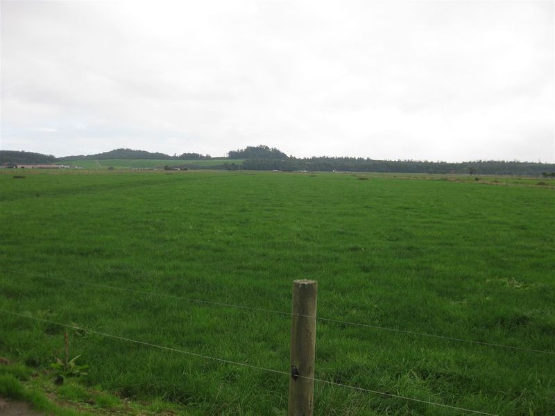 24662 Bass Highway, Brittons Swamp TAS 7330