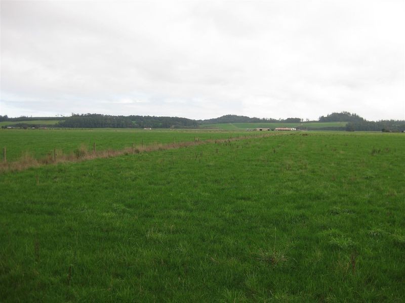 24662 Bass Highway, Brittons Swamp TAS 7330