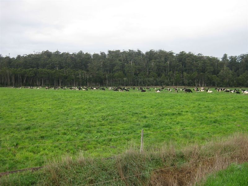 24662 Bass Highway, Brittons Swamp TAS 7330