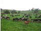136 Robin Hill Road, Flowerdale TAS 7325