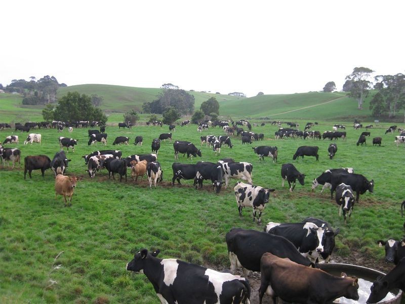 136 Robin Hill Road, Flowerdale TAS 7325