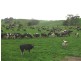 136 Robin Hill Road, Flowerdale TAS 7325