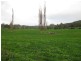 136 Robin Hill Road, Flowerdale TAS 7325