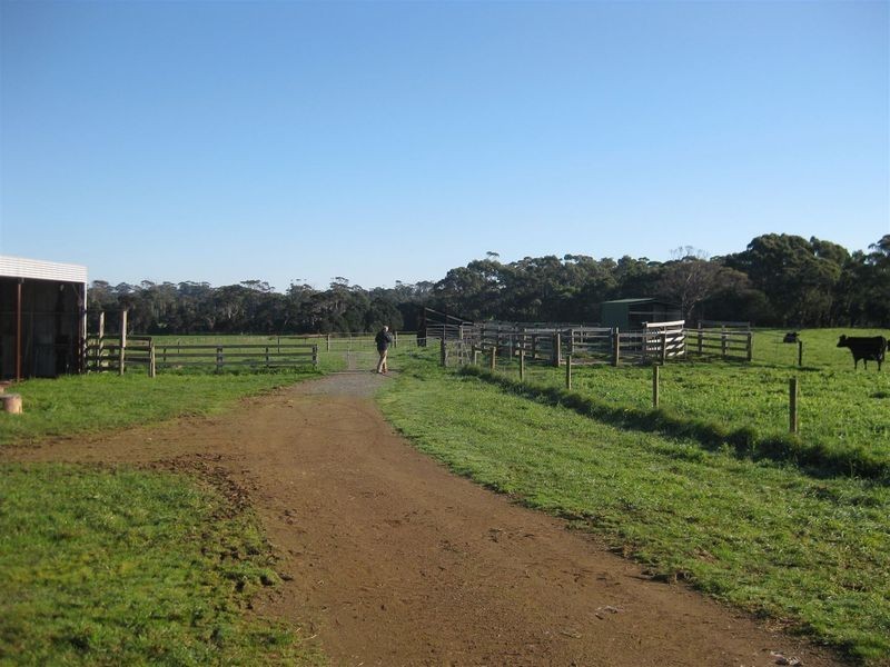 1013 Backline Road, Forest TAS 7330