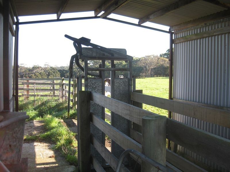 1013 Backline Road, Forest TAS 7330