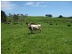 27377 Bass Highway, Marrawah TAS 7330