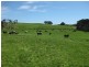 27377 Bass Highway, Marrawah TAS 7330