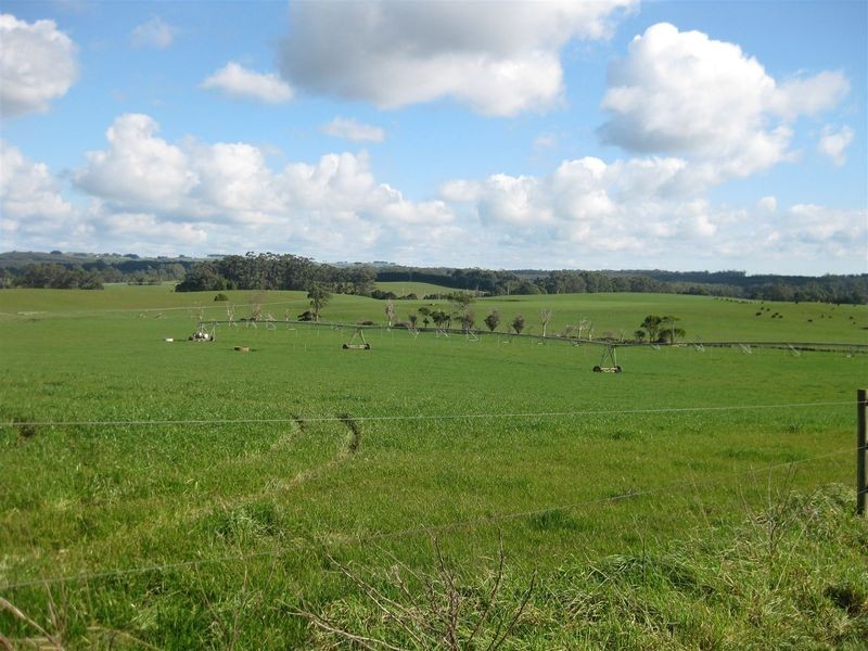 150 Cyathea Road, Forest TAS 7330